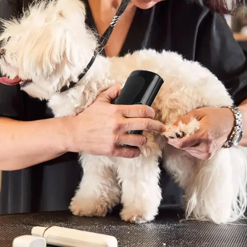 Pet Deshedding Brush for Dogs and Cats